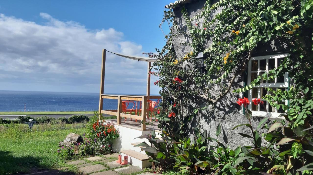 Quinta Das Buganvilias Castelo Branco  エクステリア 写真