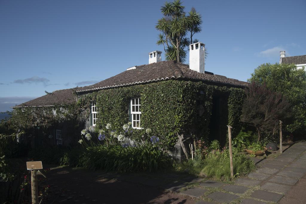 Quinta Das Buganvilias Castelo Branco  エクステリア 写真